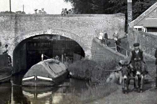 Donkeys towing a narrowboat (Howard Beard)