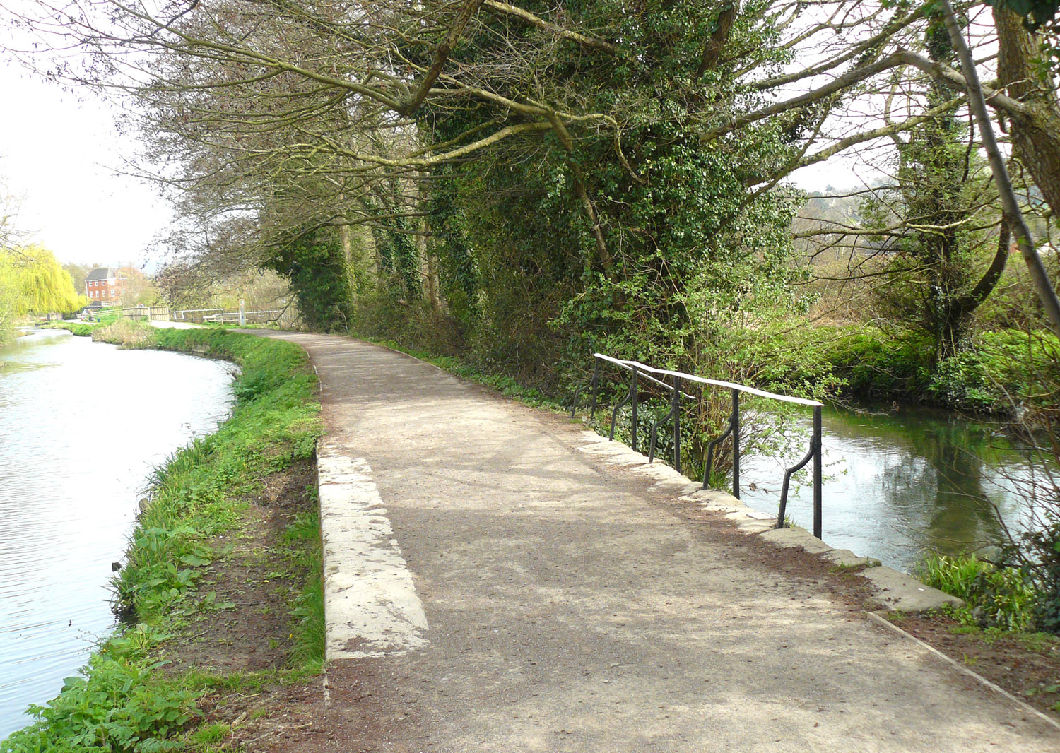 The feeder weir under the towpath at Ebley built by Henry Harrison in 1850 but now blocked.