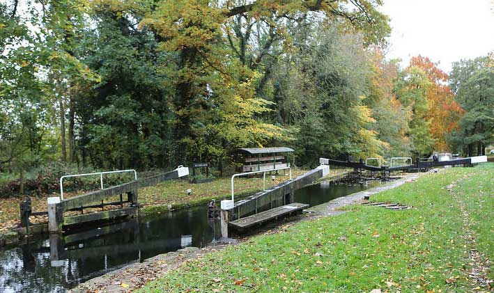 Trees adjacent to Blunder Lock