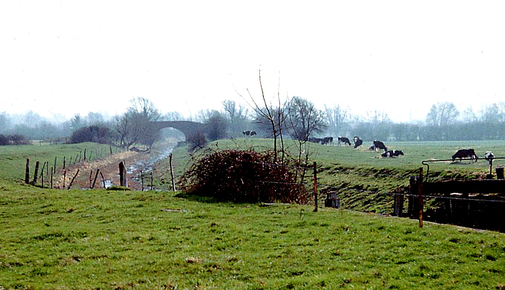 Open ditch between Bristol Road Lock and Hydes Bridge c1960 (Richard Lord)