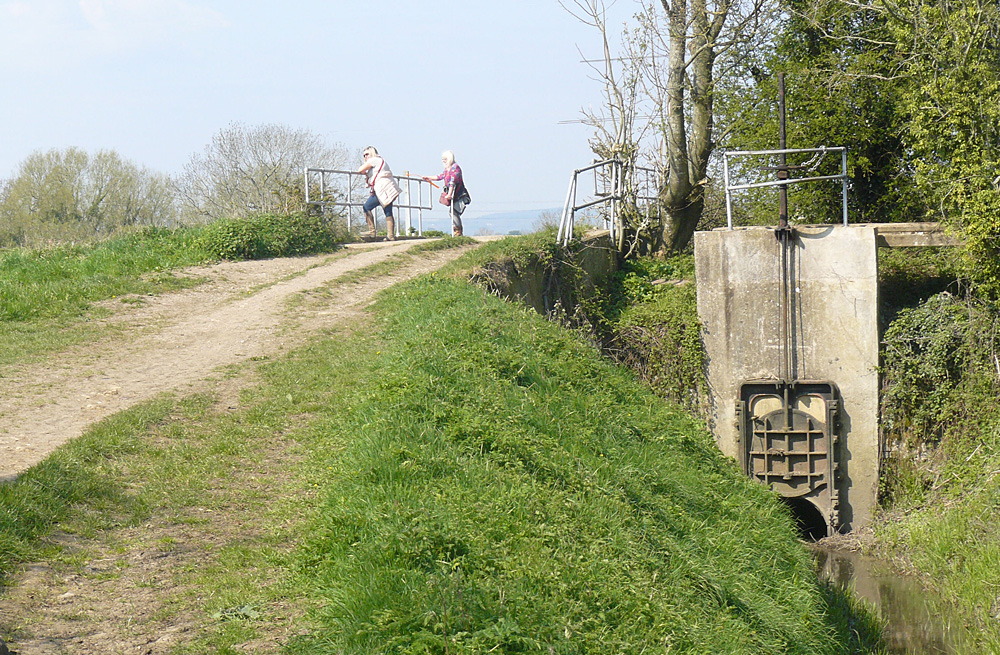 Sluice beside slope up to Lockham Bridge